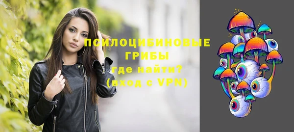 спайс Новодвинск