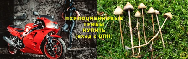 спиды Новозыбков