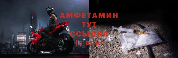 спиды Новозыбков