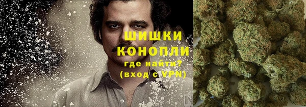 спиды Новозыбков