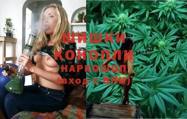 МДПВ Новокубанск