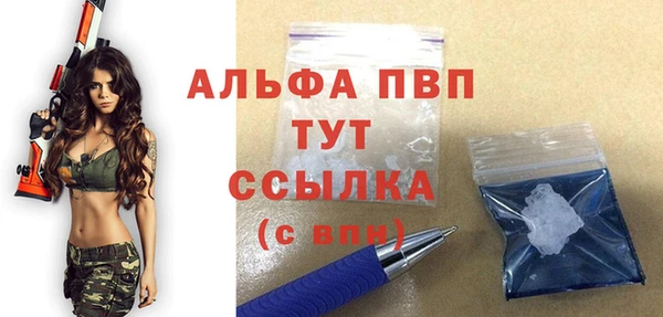спиды Новозыбков
