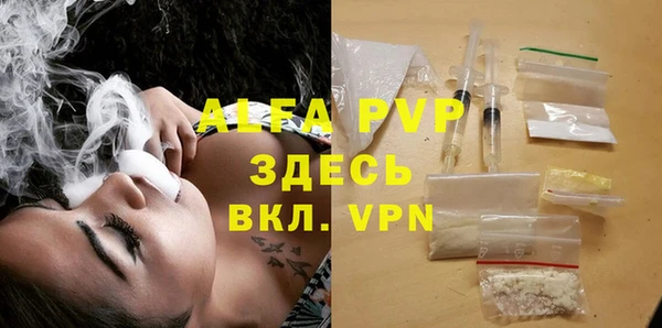 спиды Новозыбков