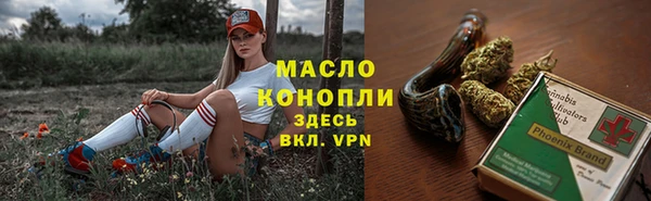 spice Богородицк