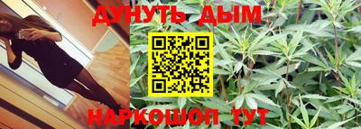 индика Бийск