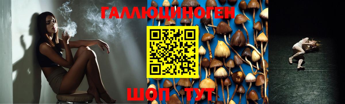 купить закладку  Вход с VPN  Махачкала  Галлюциногенные грибы мухоморы 
